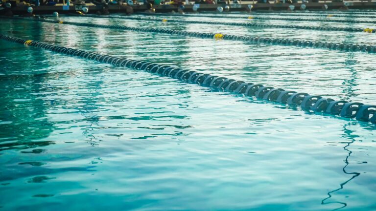 How Much To Service A Swimming Pool Filter